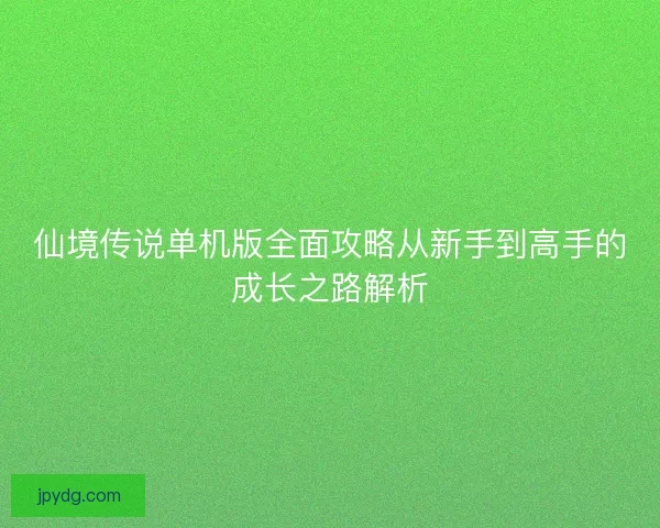 仙境传说单机版全面攻略从新手到高手的成长之路解析