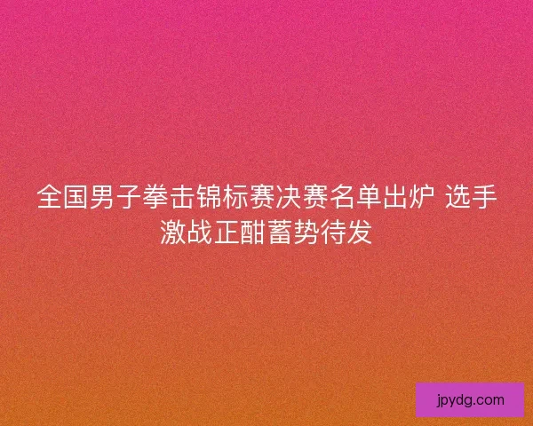 全国男子拳击锦标赛决赛名单出炉 选手激战正酣蓄势待发