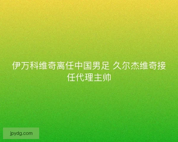 伊万科维奇离任中国男足 久尔杰维奇接任代理主帅