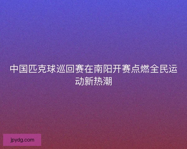 中国匹克球巡回赛在南阳开赛点燃全民运动新热潮
